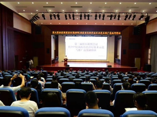 广西国际壮医医院顺利召开第二届壮医联盟会议