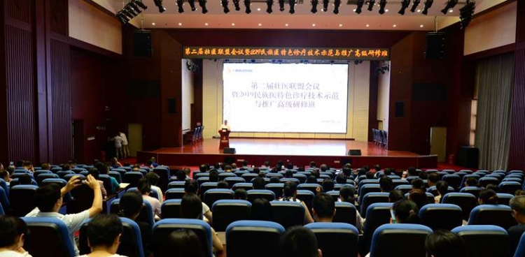 广西国际壮医医院顺利召开第二届壮医联盟会议