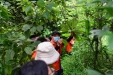 26名师承班学员赴龙州实地调研民族医药