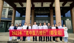 弘扬民族医学，推进民族医学传承与创新——广西“名中医八桂行”项目 （都安站）正式启动