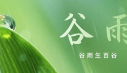 谷雨话养生：教您顺应天时，巧妙护脾疏肝