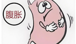 问诊贴士 | 不吃饿得慌，吃了胀得慌？专家支招：这样做告别